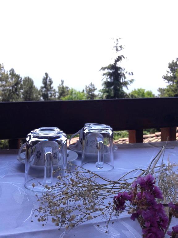 אוהריד Chardak Apartments מראה חיצוני תמונה